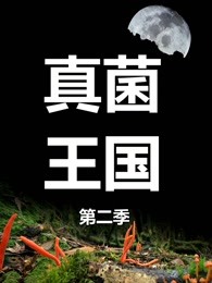 真菌王国第二季全集观看