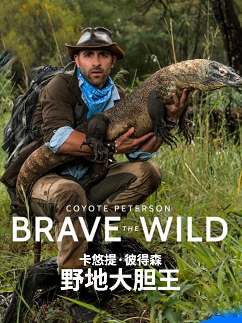 卡悠提·彼得森：野地大胆王全集观看