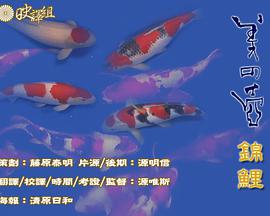 美之壶全集观看